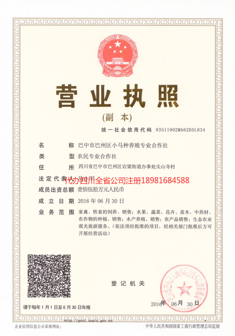 新民新民小马种养殖专业合作社